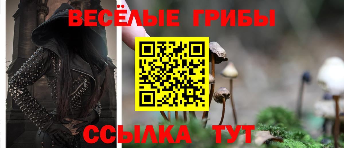 Псилоцибиновые грибы Psilocybine cubensis  Вход с VPN  Туапсе 
